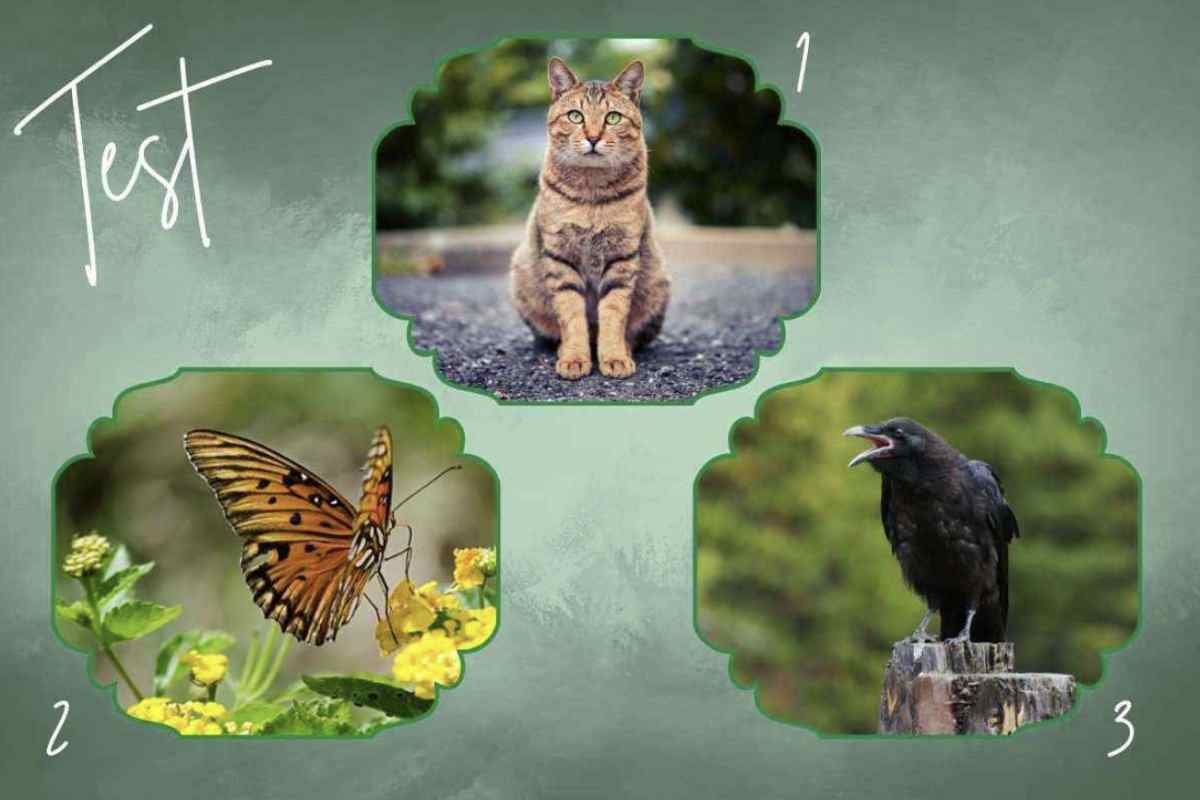 originale test di personalità basato sulla scelta