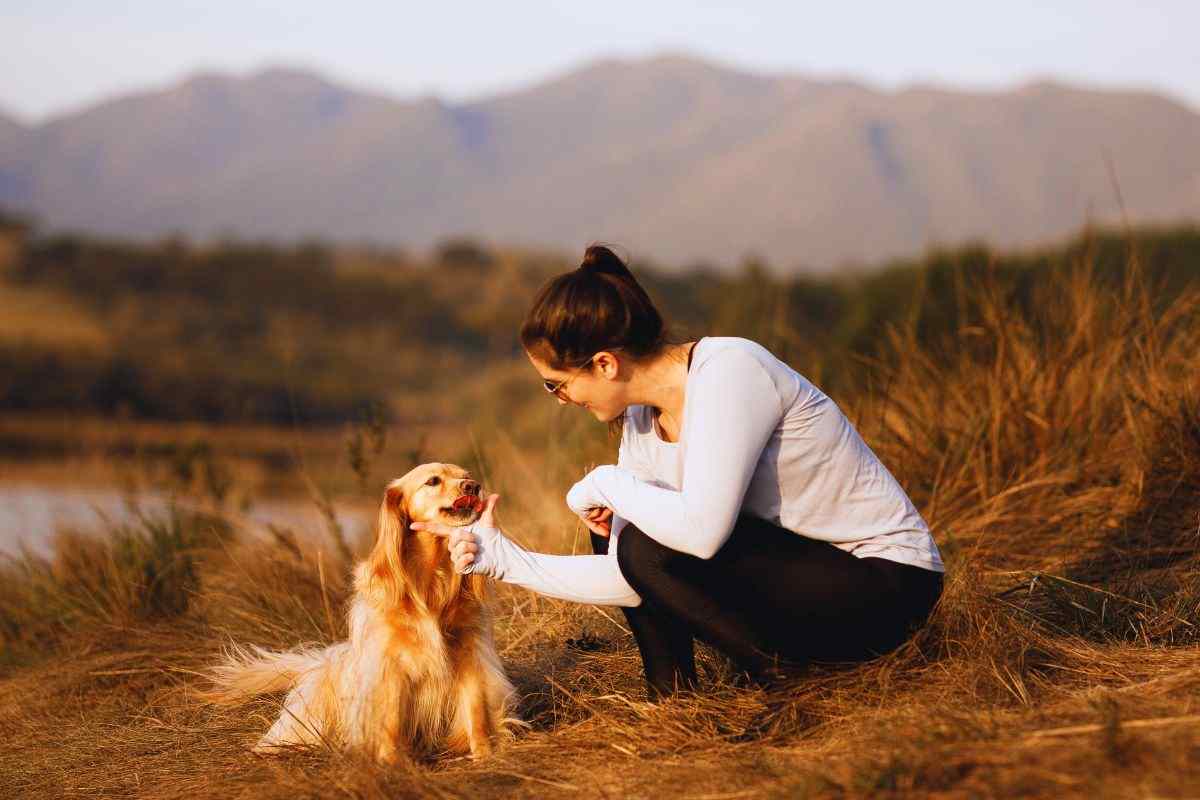 accarezzare i cani e tratti della personalità